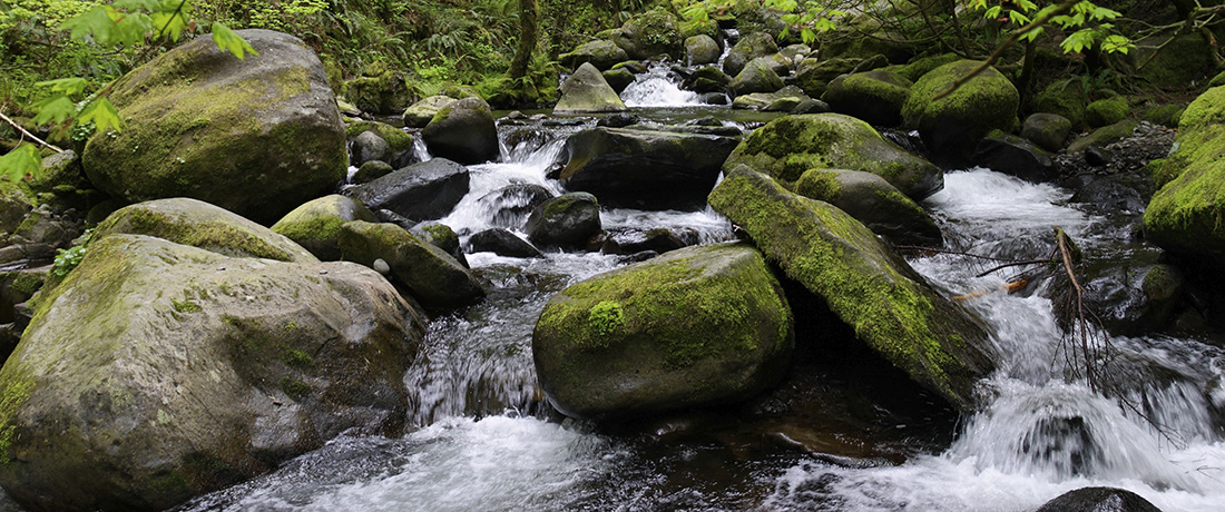 Stacks Image 616